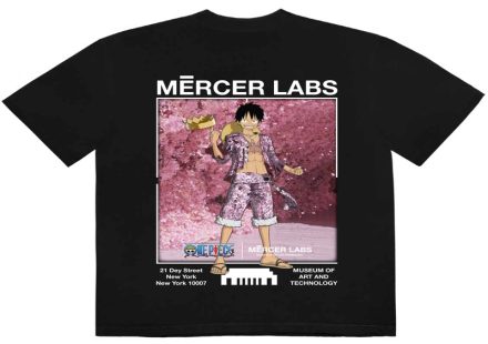 Shop Authentic One Piece Official Merch for Collectors