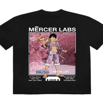 Shop Authentic One Piece Official Merch for Collectors